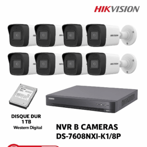 Kit de Vidéosurveillance IP 8 Caméras Hikvision 6MP Smart Hybride + NVR 8 Ports PoE + Disque Dur 1 To Western Digital